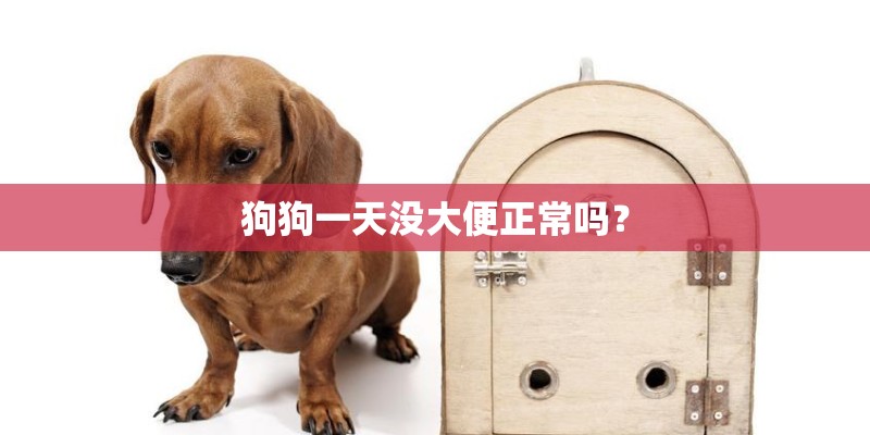 狗狗一天没大便正常吗？