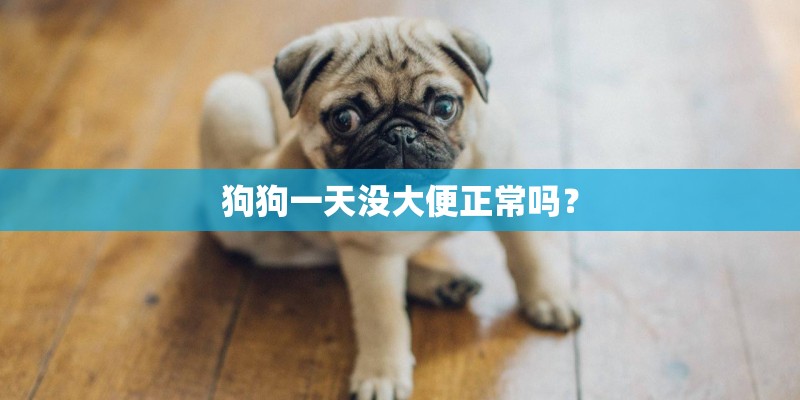 狗狗一天没大便正常吗？