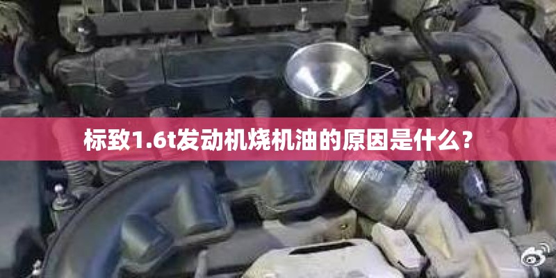 标致1.6t发动机烧机油的原因是什么？