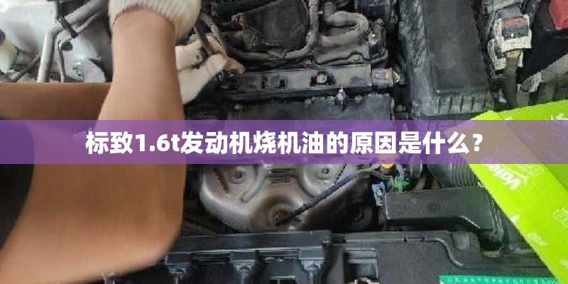 标致1.6t发动机烧机油的原因是什么？
