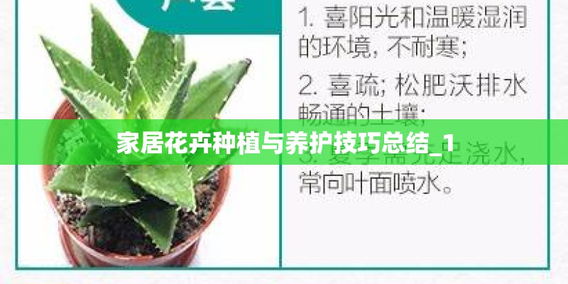 家居花卉种植与养护技巧总结_1 家居花卉种植与养护技巧总结_1