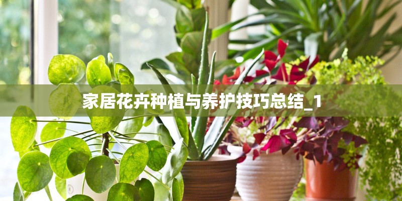 家居花卉种植与养护技巧总结_1 家居花卉种植与养护技巧总结_1