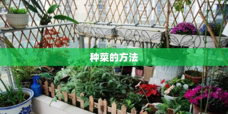 种菜的方法