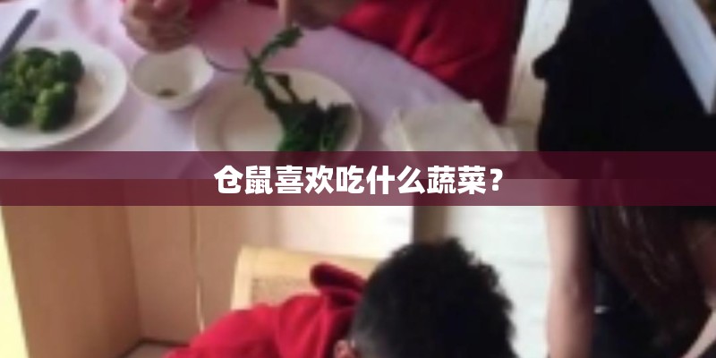 仓鼠喜欢吃什么蔬菜？