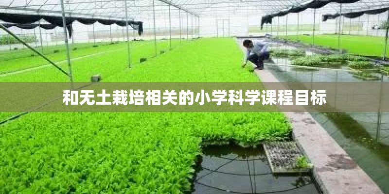 和无土栽培相关的小学科学课程目标