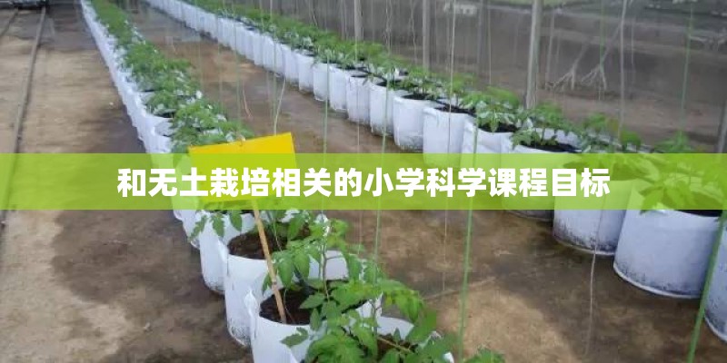 和无土栽培相关的小学科学课程目标