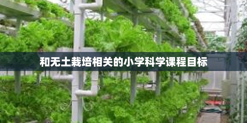 和无土栽培相关的小学科学课程目标
