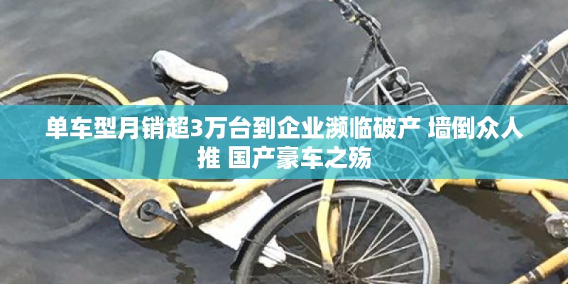 单车型月销超3万台到企业濒临破产 墙倒众人推 国产豪车之殇 单车型月销超3万台到企业濒临破产 墙倒众人推 国产豪车之殇