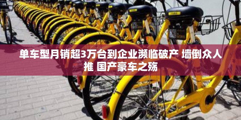 单车型月销超3万台到企业濒临破产 墙倒众人推 国产豪车之殇 单车型月销超3万台到企业濒临破产 墙倒众人推 国产豪车之殇