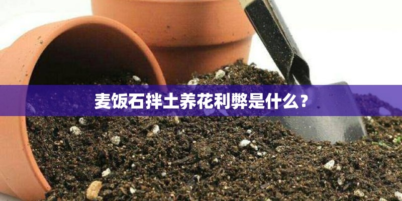 麦饭石拌土养花利弊是什么? 麦饭石拌土养花利弊是什么?