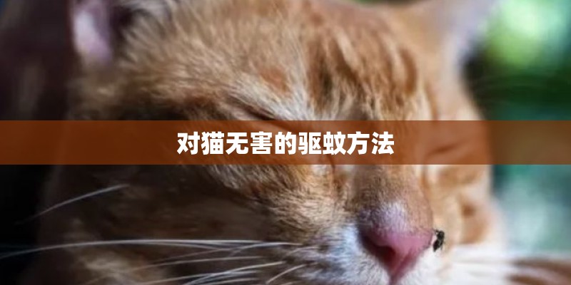 对猫无害的驱蚊方法