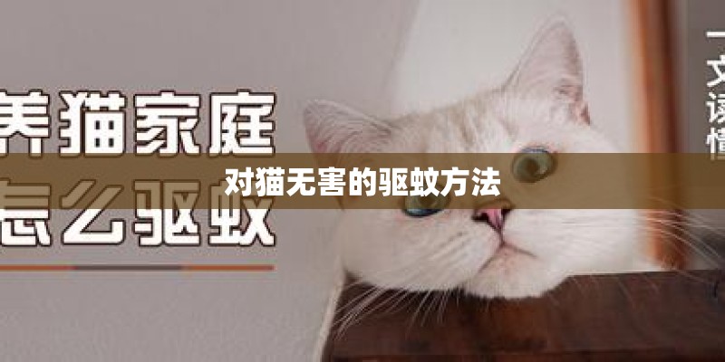 -小波分析方法