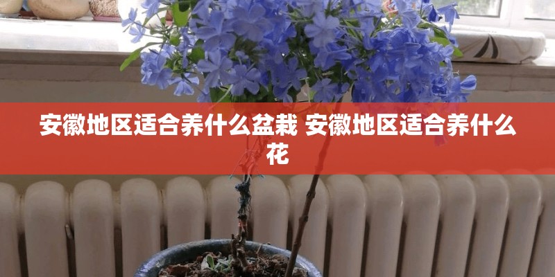 安徽地区适合养什么盆栽 安徽地区适合养什么花