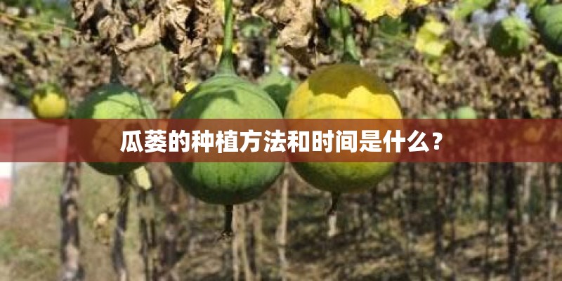 瓜蒌的种植方法和时间是什么？
