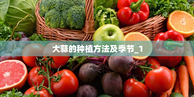 大蒜的种植方法及季节_1