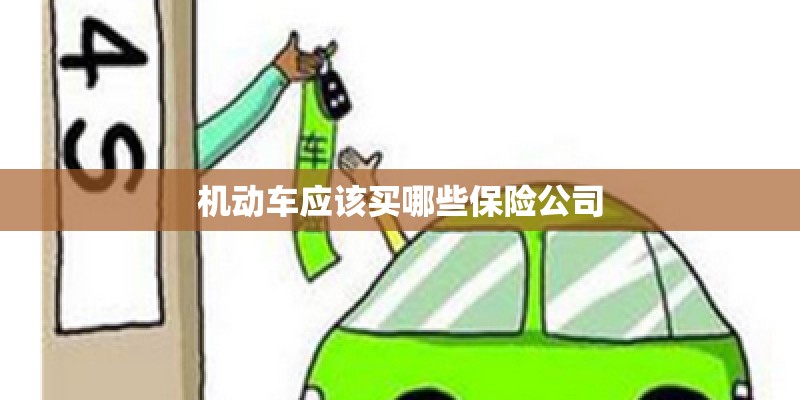 机动车应该买哪些保险公司 机动车应该买哪些保险公司