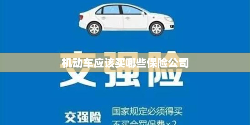 机动车应该买哪些保险公司 机动车应该买哪些保险公司