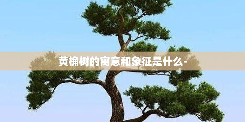 黄桷树的寓意和象征是什么-