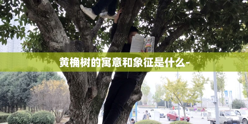 黄桷树的寓意和象征是什么-