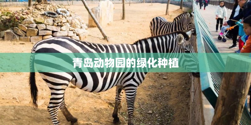 青岛动物园的绿化种植