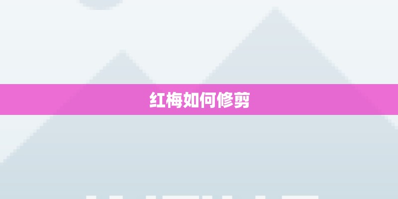 红梅如何修剪 红梅如何修剪
