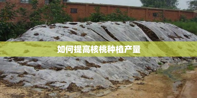 如何提高核桃种植产量