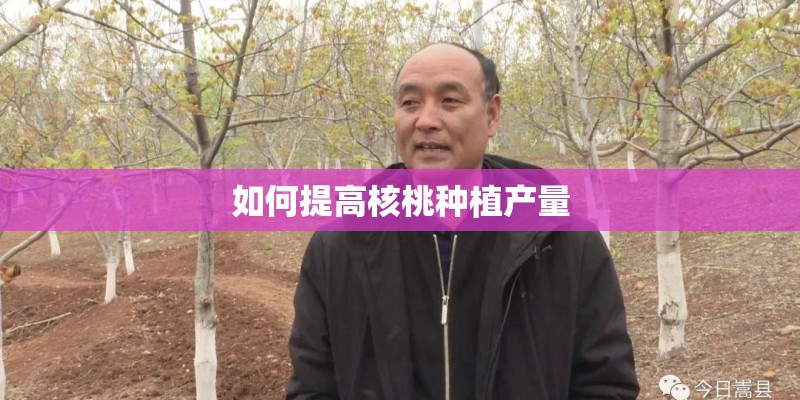 如何提高核桃种植产量