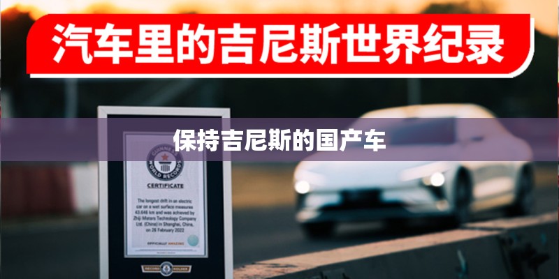 保持吉尼斯的国产车