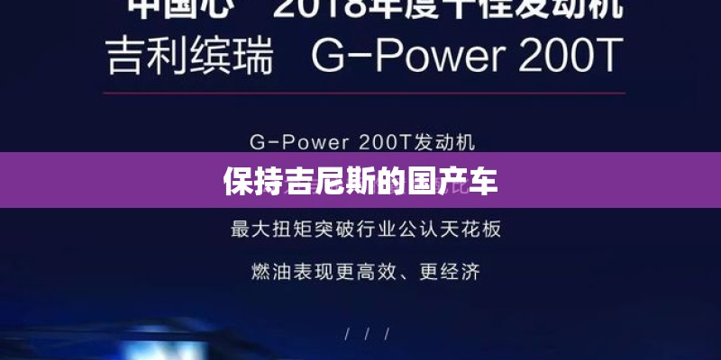 保持吉尼斯的国产车