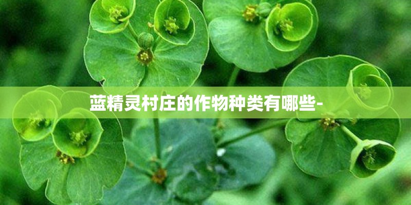 蓝精灵村庄的作物种类有哪些-