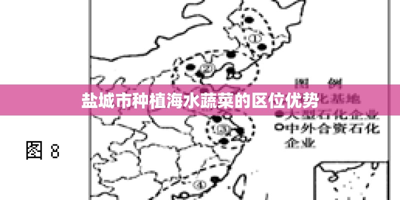 盐城市种植海水蔬菜的区位优势