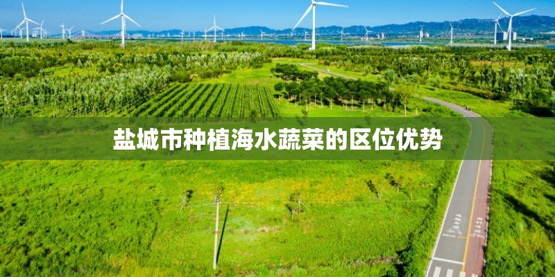 盐城市种植海水蔬菜的区位优势 盐城市种植海水蔬菜的区位优势