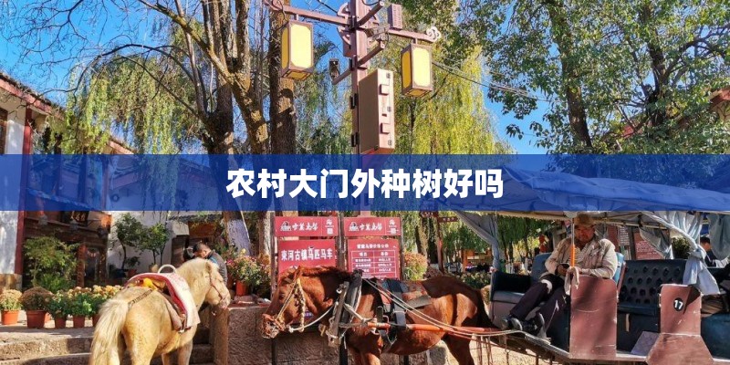 农村大门外种树好吗