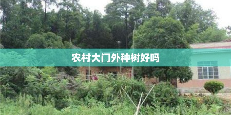 农村大门外种树好吗