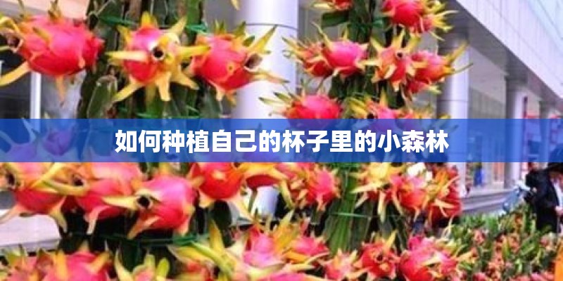 如何种植自己的杯子里的小森林
