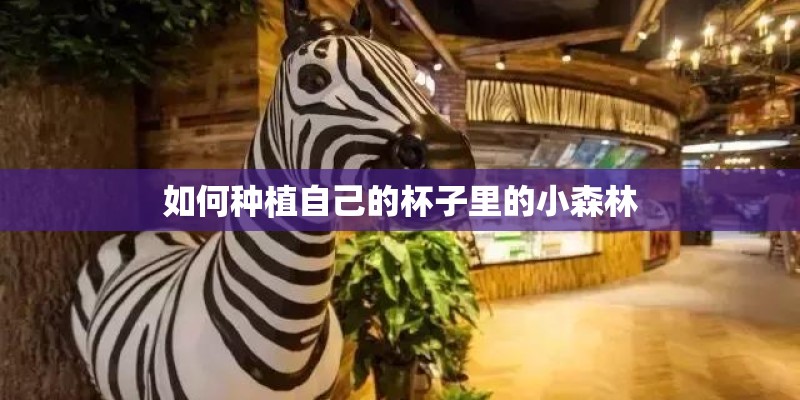 如何种植自己的杯子里的小森林