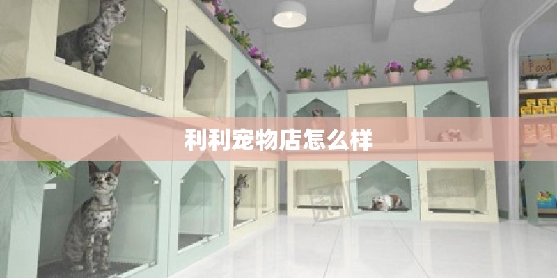 利利宠物店怎么样