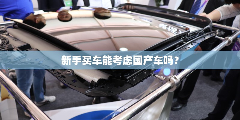 新手买车能考虑国产车吗？