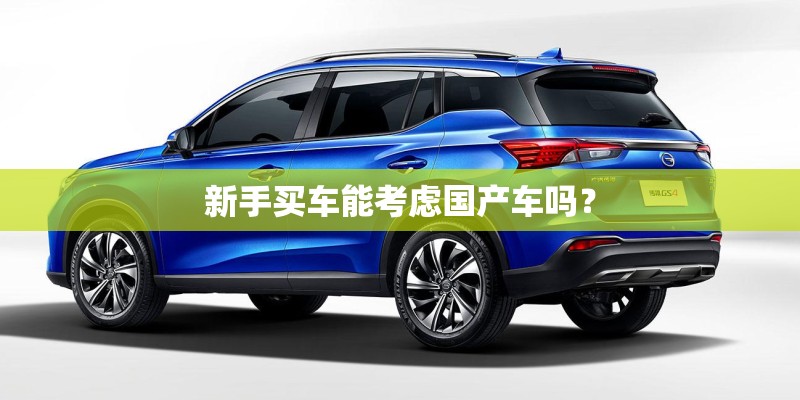 新手买车能考虑国产车吗？