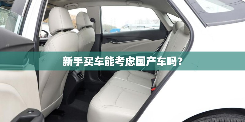 新手买车能考虑国产车吗？