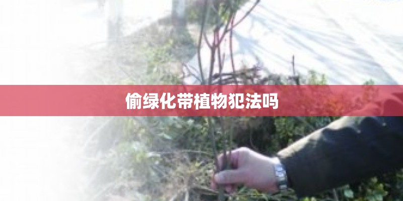 偷绿化带植物犯法吗
