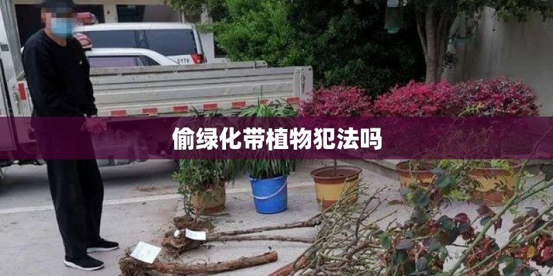 偷绿化带植物犯法吗