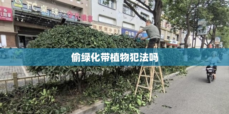 偷绿化带植物犯法吗