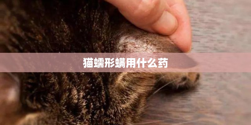 猫蠕形螨用什么药