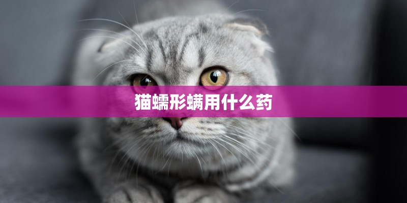 猫蠕形螨用什么药