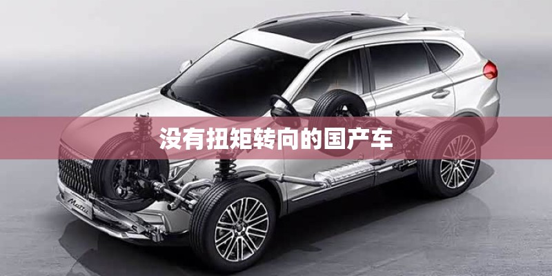 没有扭矩转向的国产车