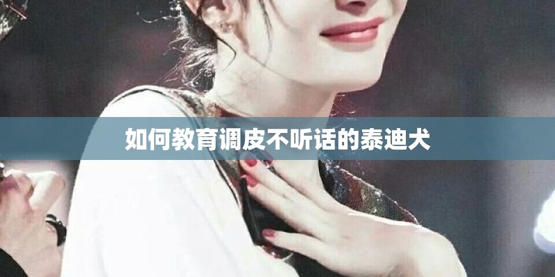 如何教育调皮不听话的泰迪犬