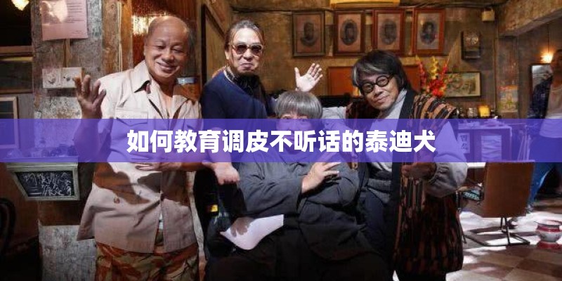 如何教育调皮不听话的泰迪犬