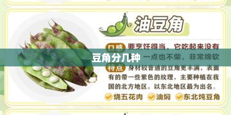 豆角分几种