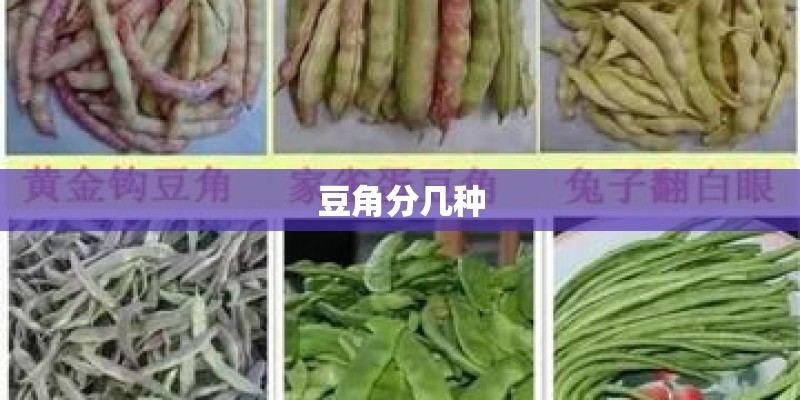 豆角分几种 豆角分几种